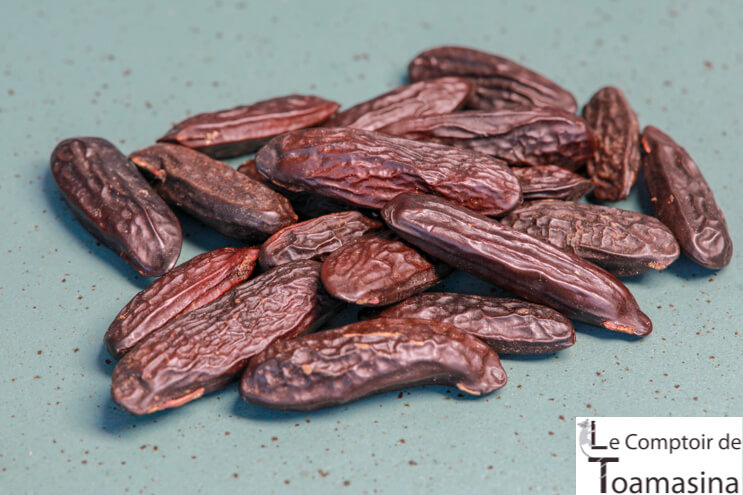 fèves tonka d'Amazonie - Brésil - Meilleur prix au kilo